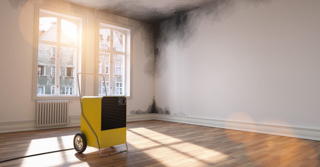 Professional dehumidifier after water damage standing in a room